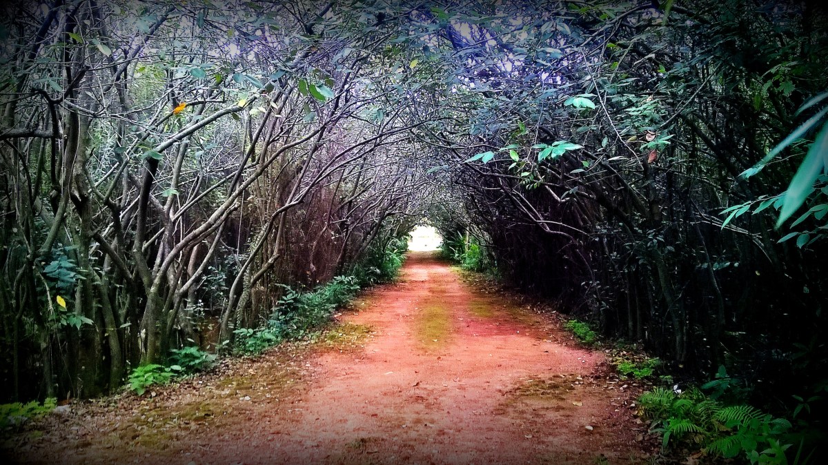 Values-Driven Writing Goals