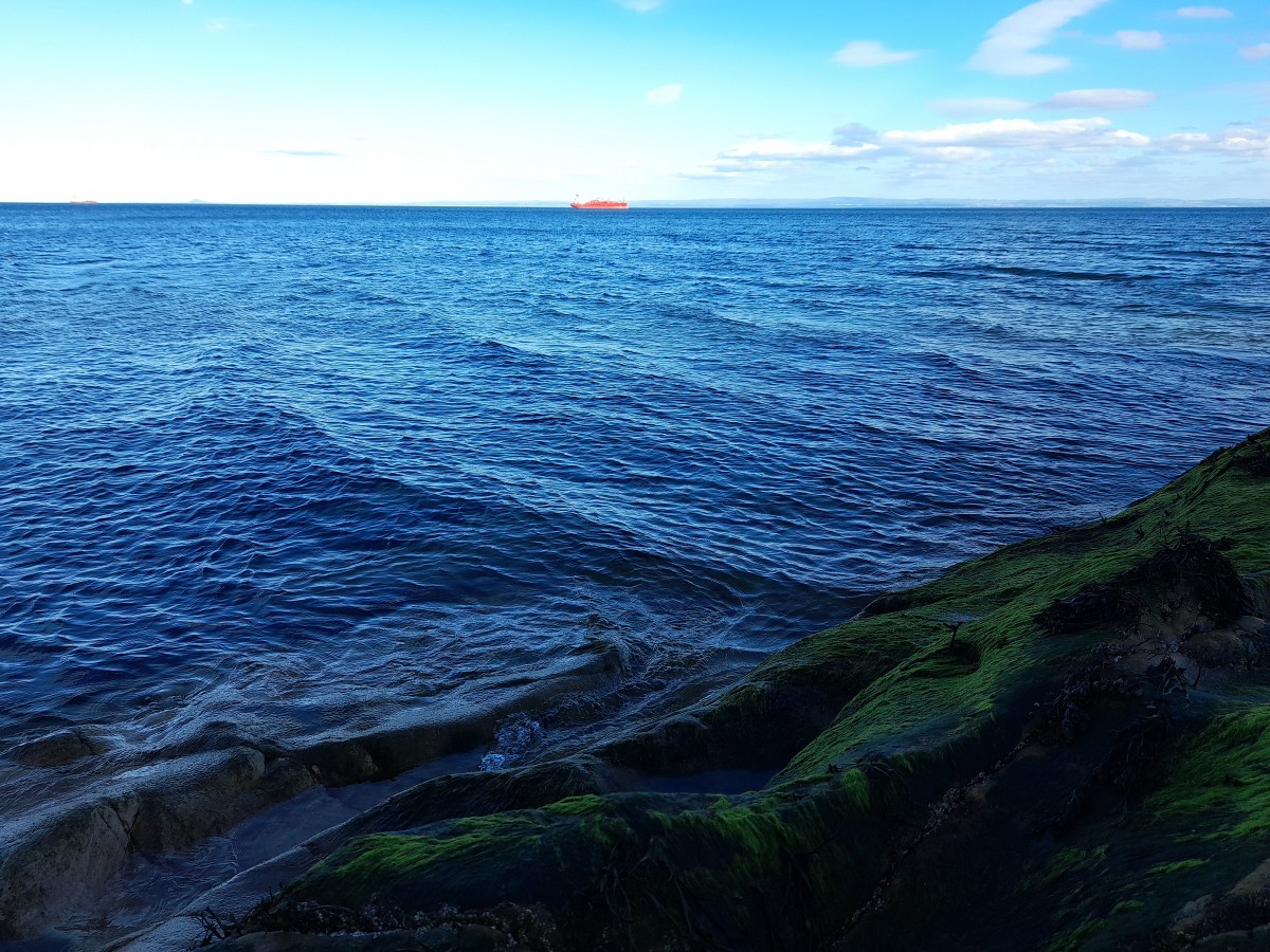 Comparison is the enemy of&nbsp;flow