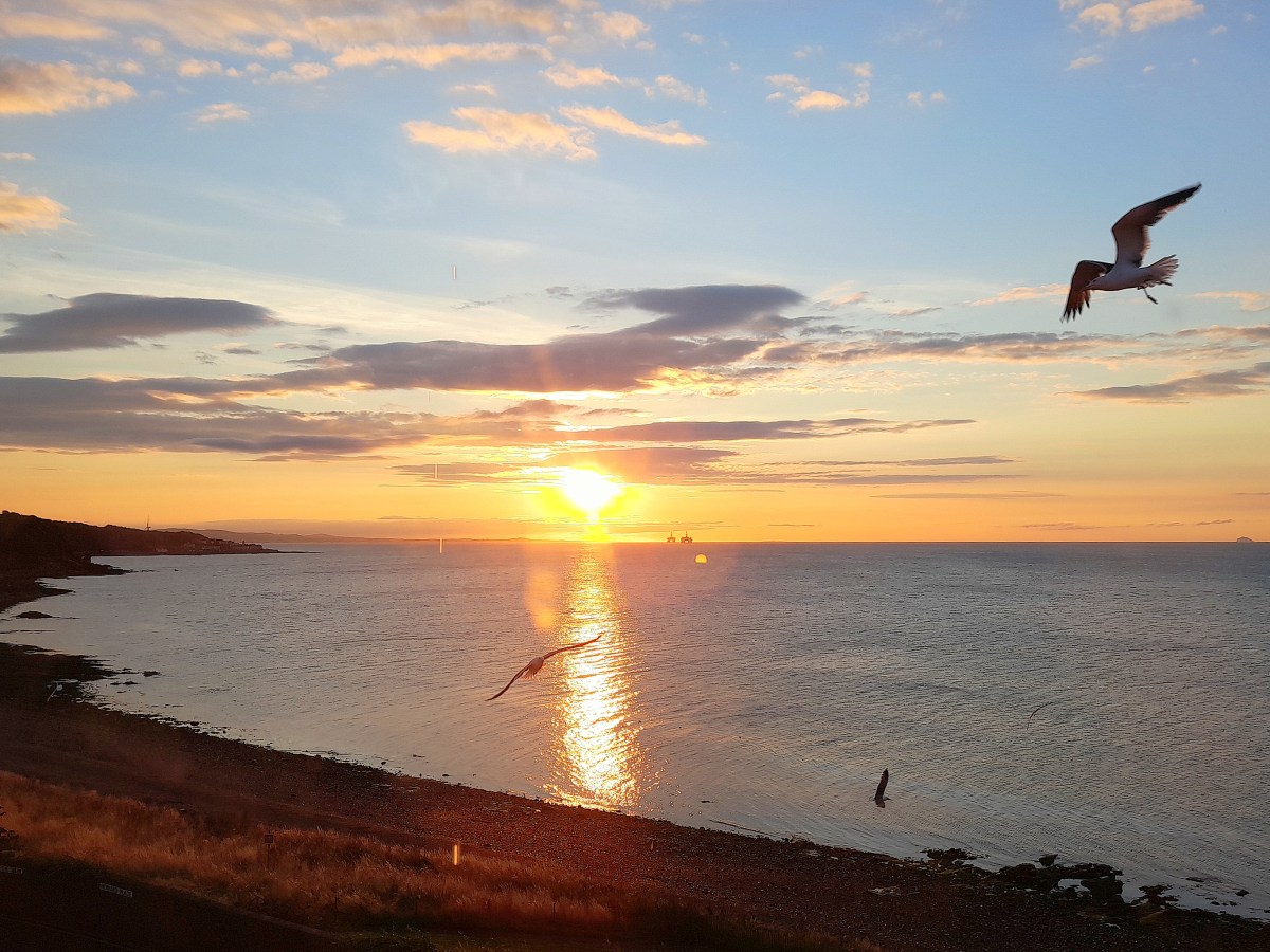 Gratitude – an antidote to the inner&nbsp;critic