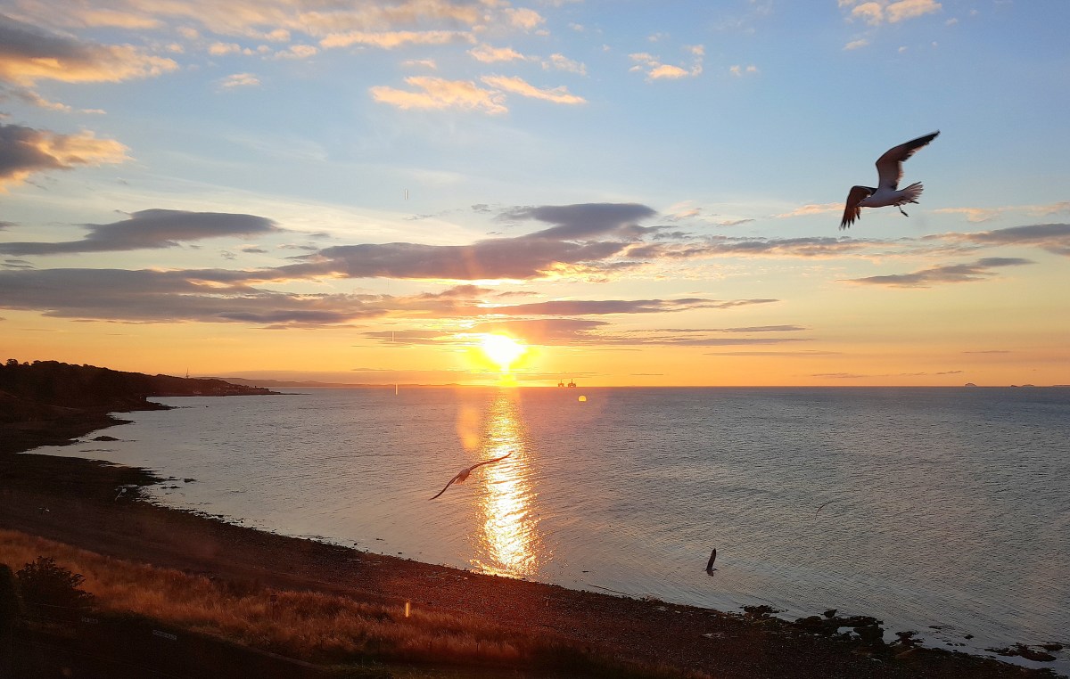 Gratitude – an antidote to the inner&nbsp;critic